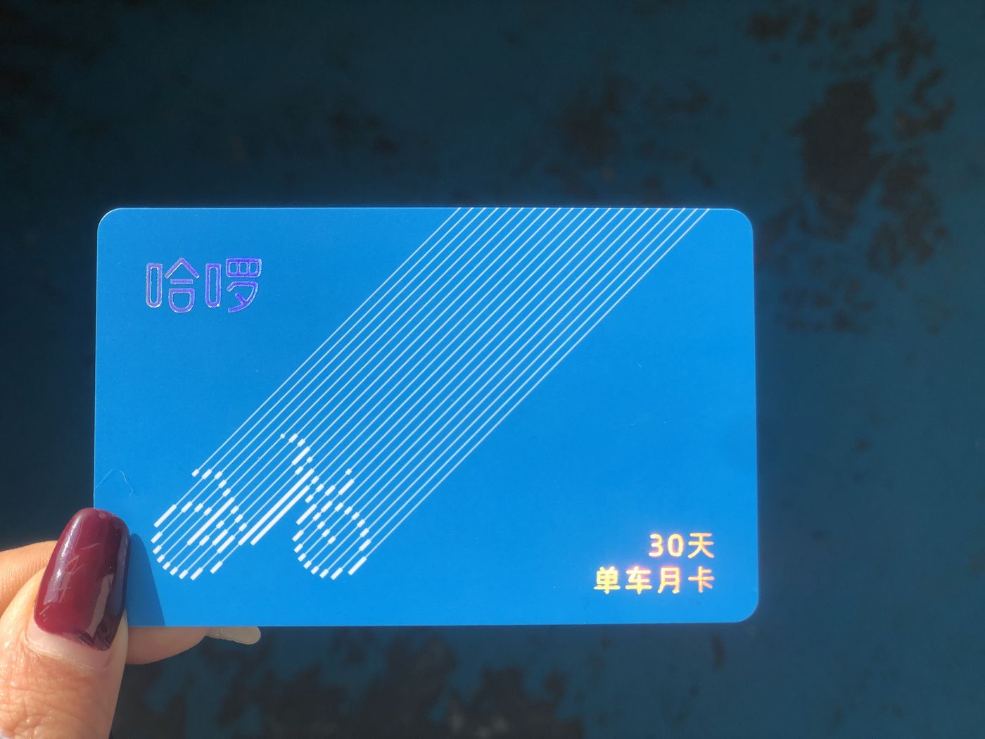 Gift Cards & Boxes / Membership Cards